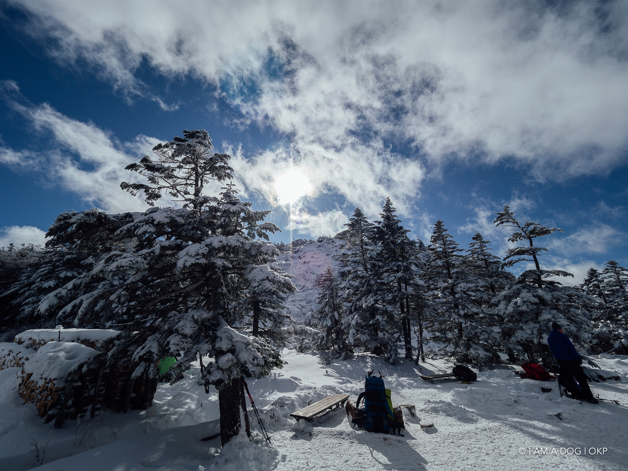 f:id:OKP:20200107144534j:plain