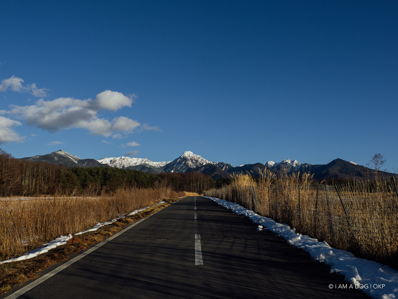 f:id:OKP:20200107155320j:plain