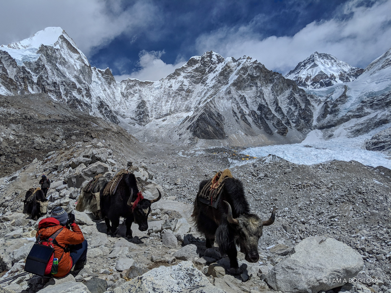 f:id:OKP:20200108180316j:plain