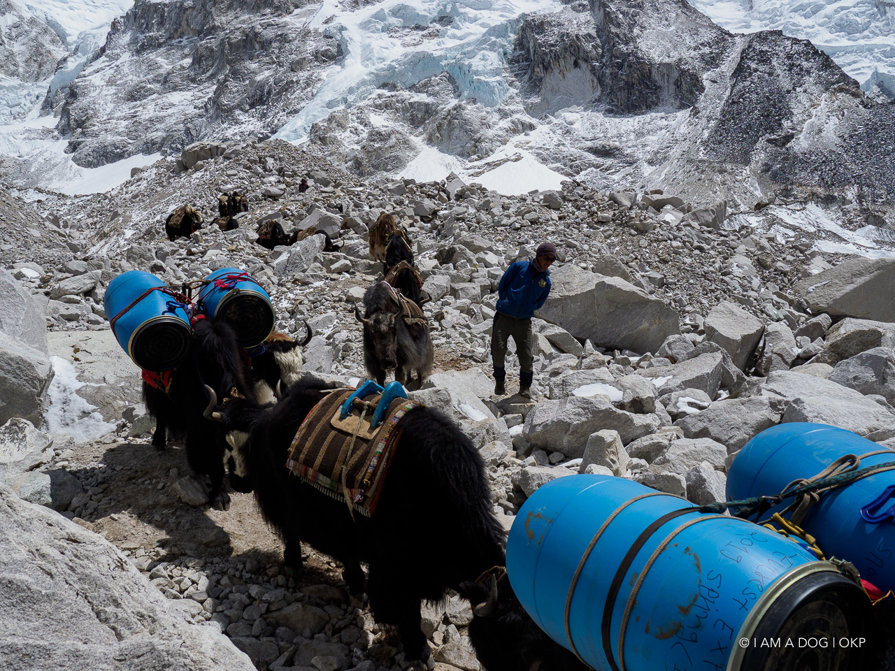 f:id:OKP:20200108180328j:plain