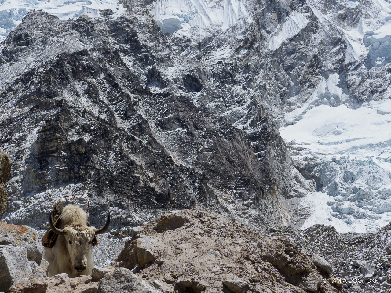 f:id:OKP:20200108180337j:plain