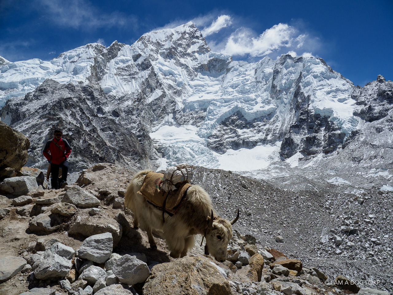 f:id:OKP:20200108180344j:plain