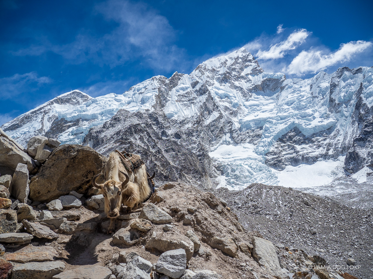 f:id:OKP:20200108180348j:plain