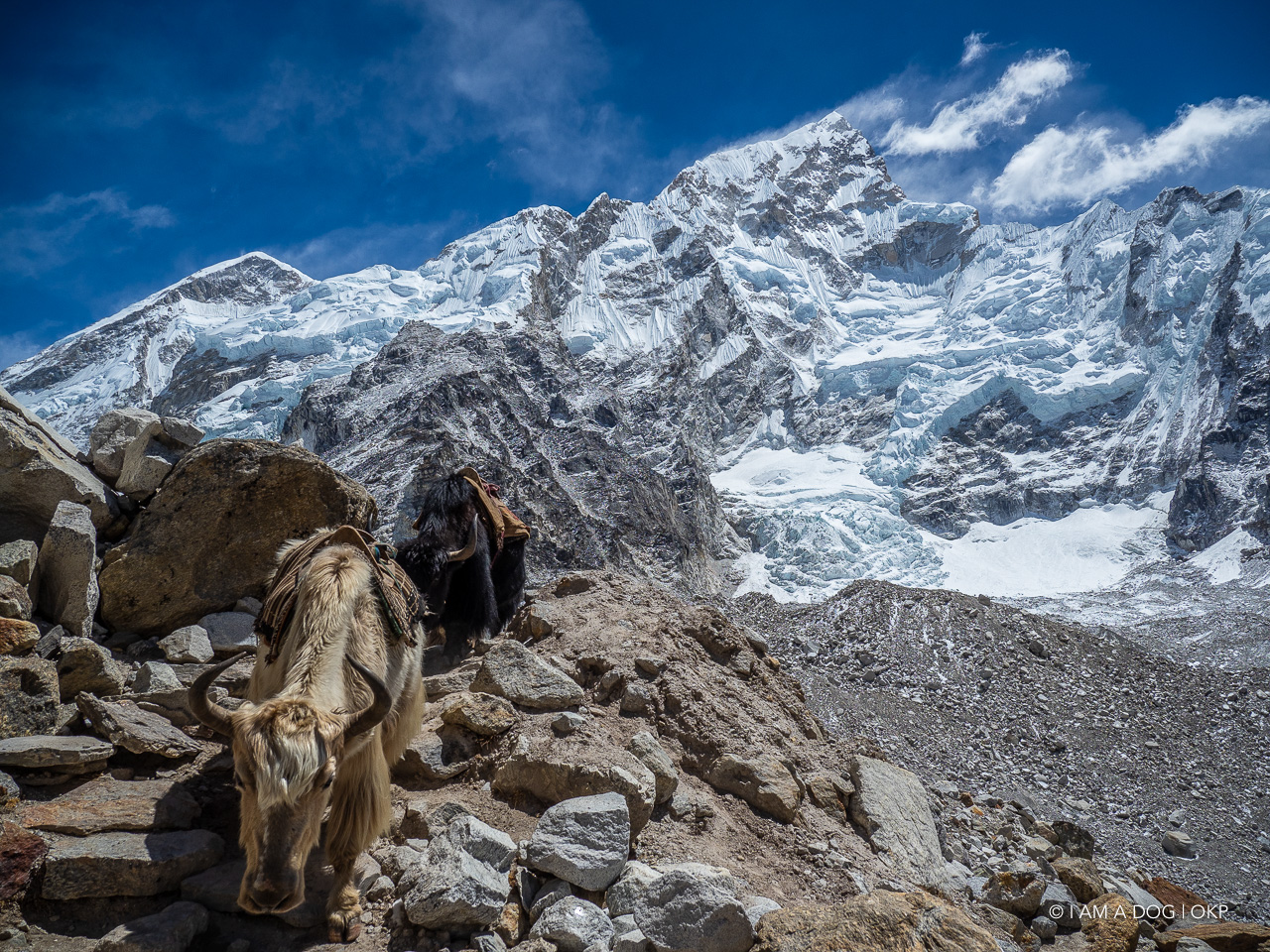 f:id:OKP:20200108180354j:plain