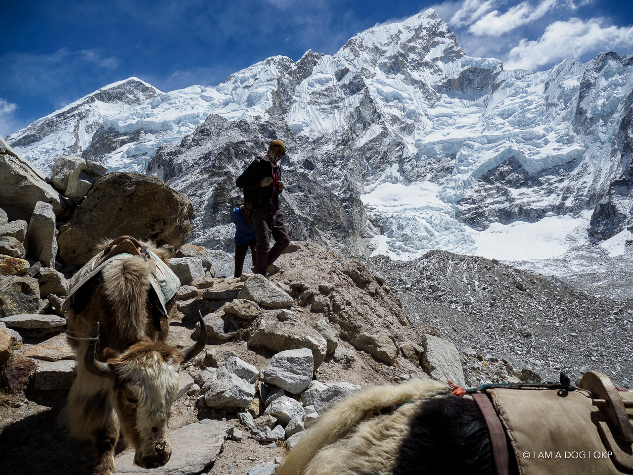 f:id:OKP:20200108180358j:plain