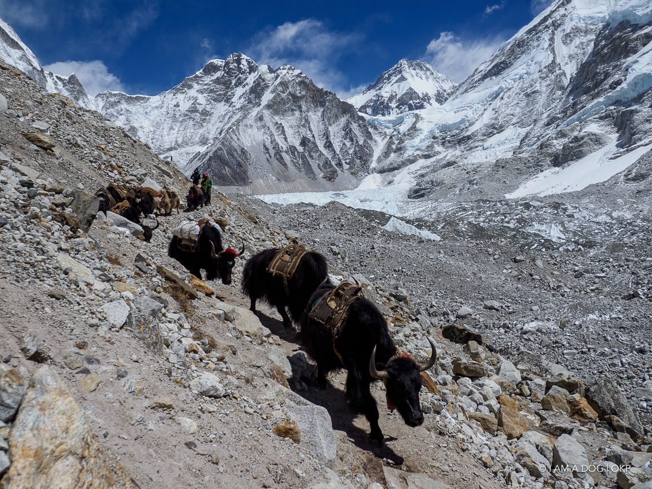 f:id:OKP:20200108180404j:plain