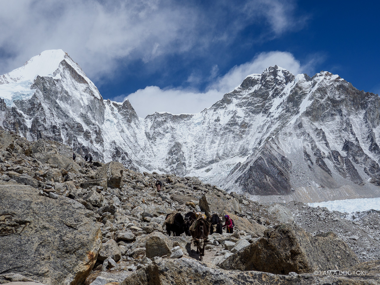 f:id:OKP:20200108180408j:plain