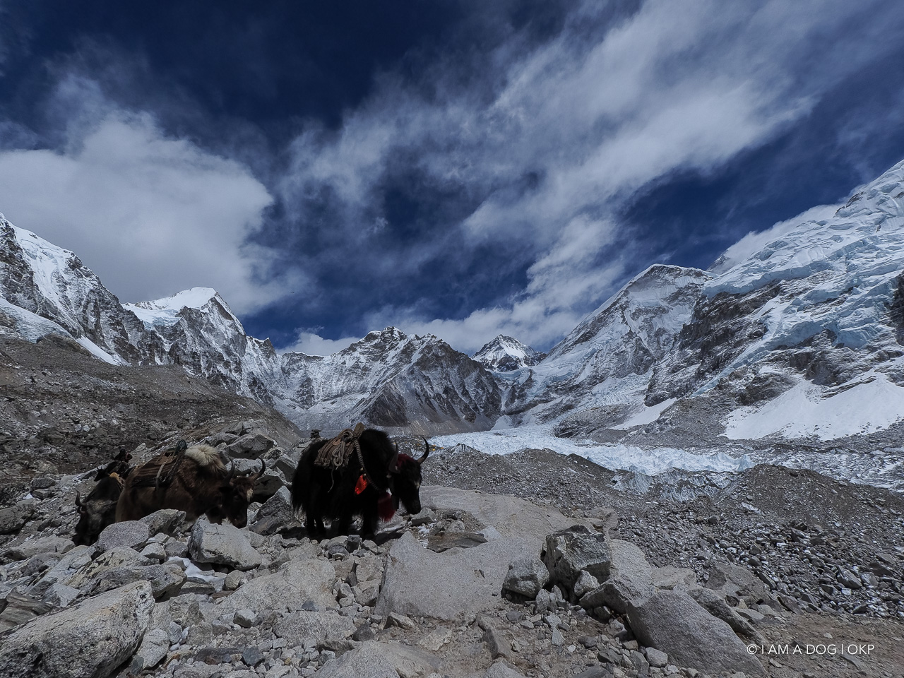 f:id:OKP:20200108180413j:plain