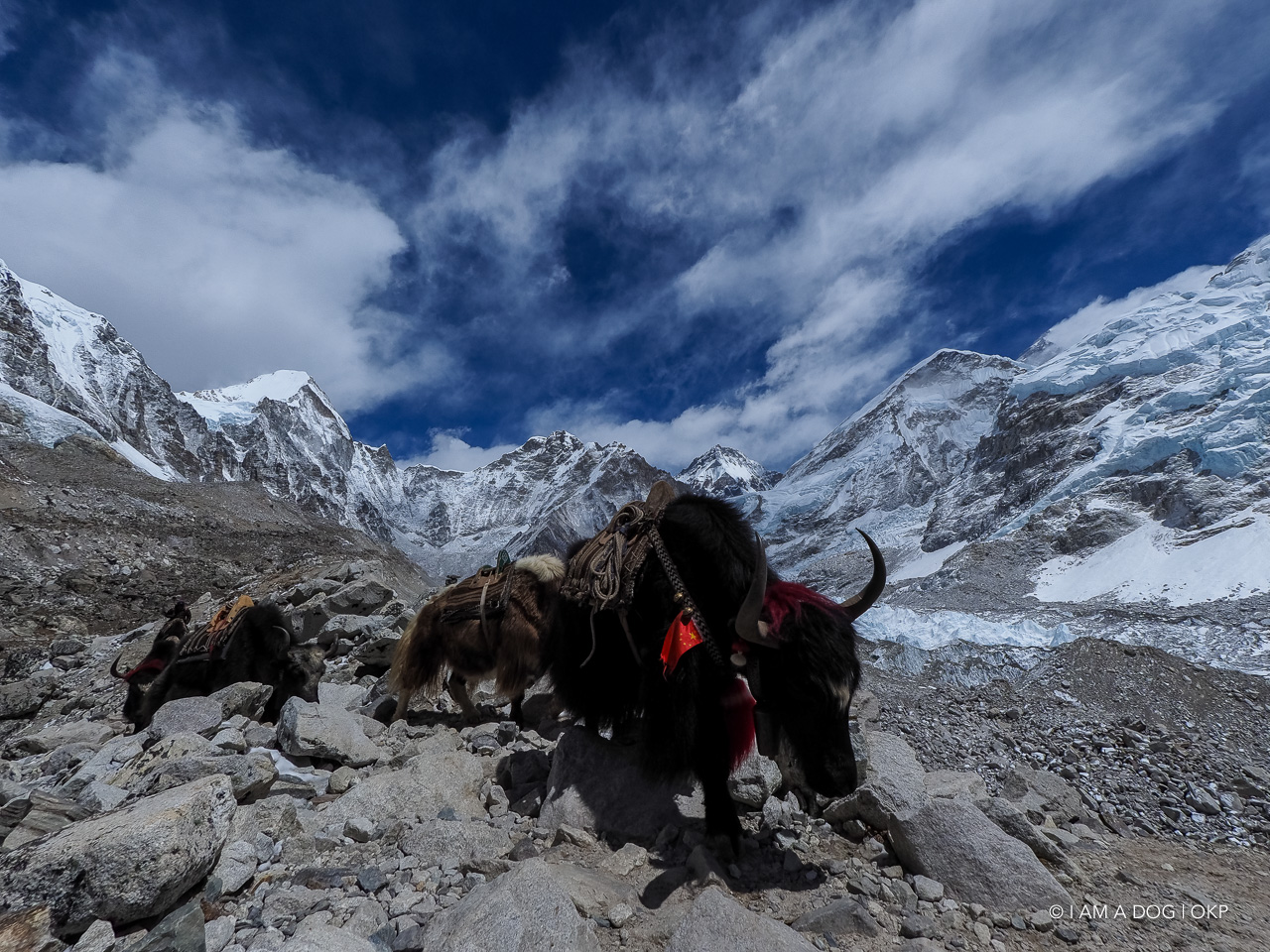 f:id:OKP:20200108180418j:plain