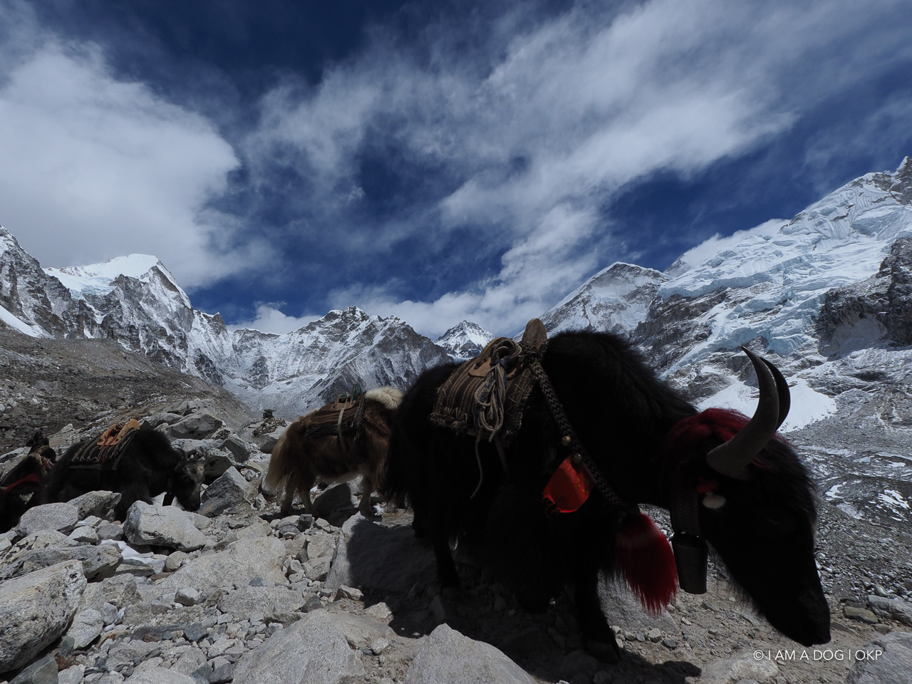 f:id:OKP:20200108180428j:plain