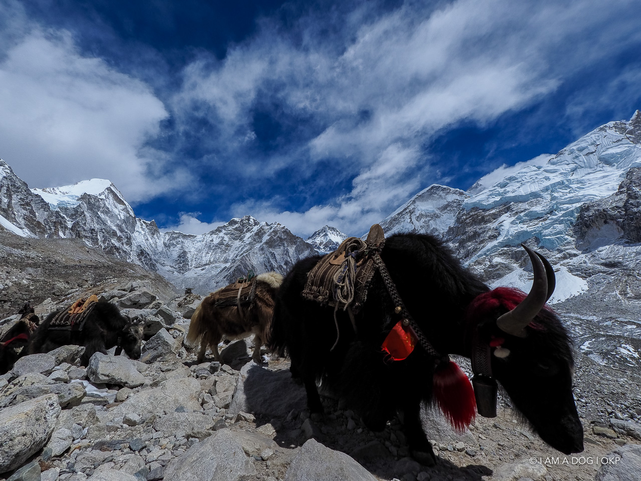 f:id:OKP:20200108180434j:plain