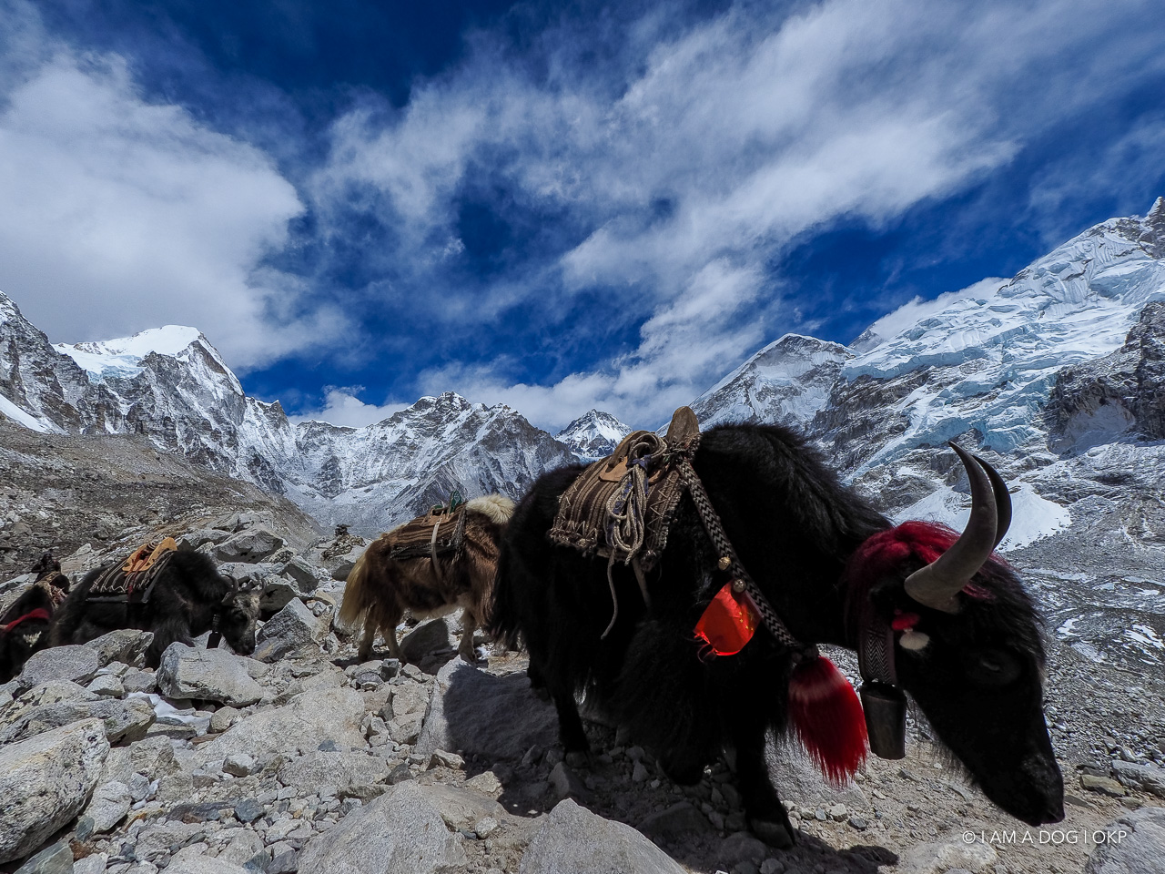 f:id:OKP:20200108180439j:plain