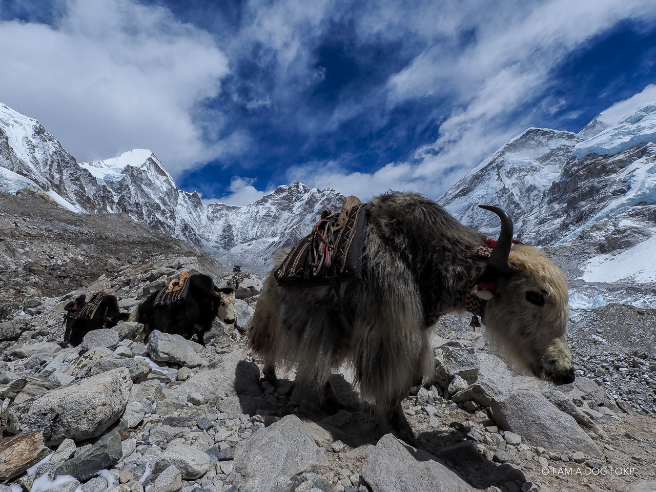 f:id:OKP:20200108180449j:plain