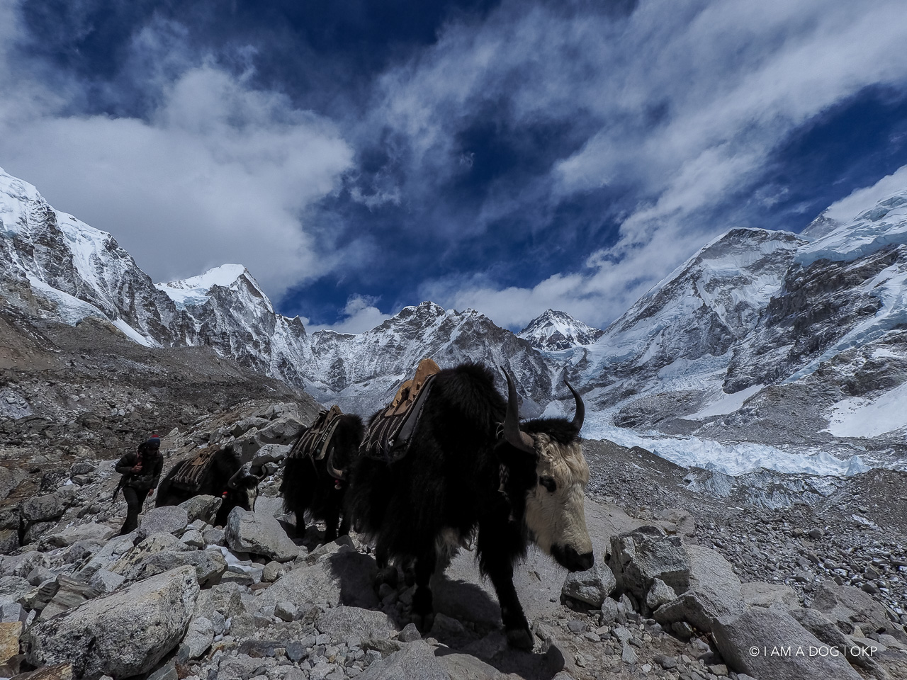 f:id:OKP:20200108180455j:plain