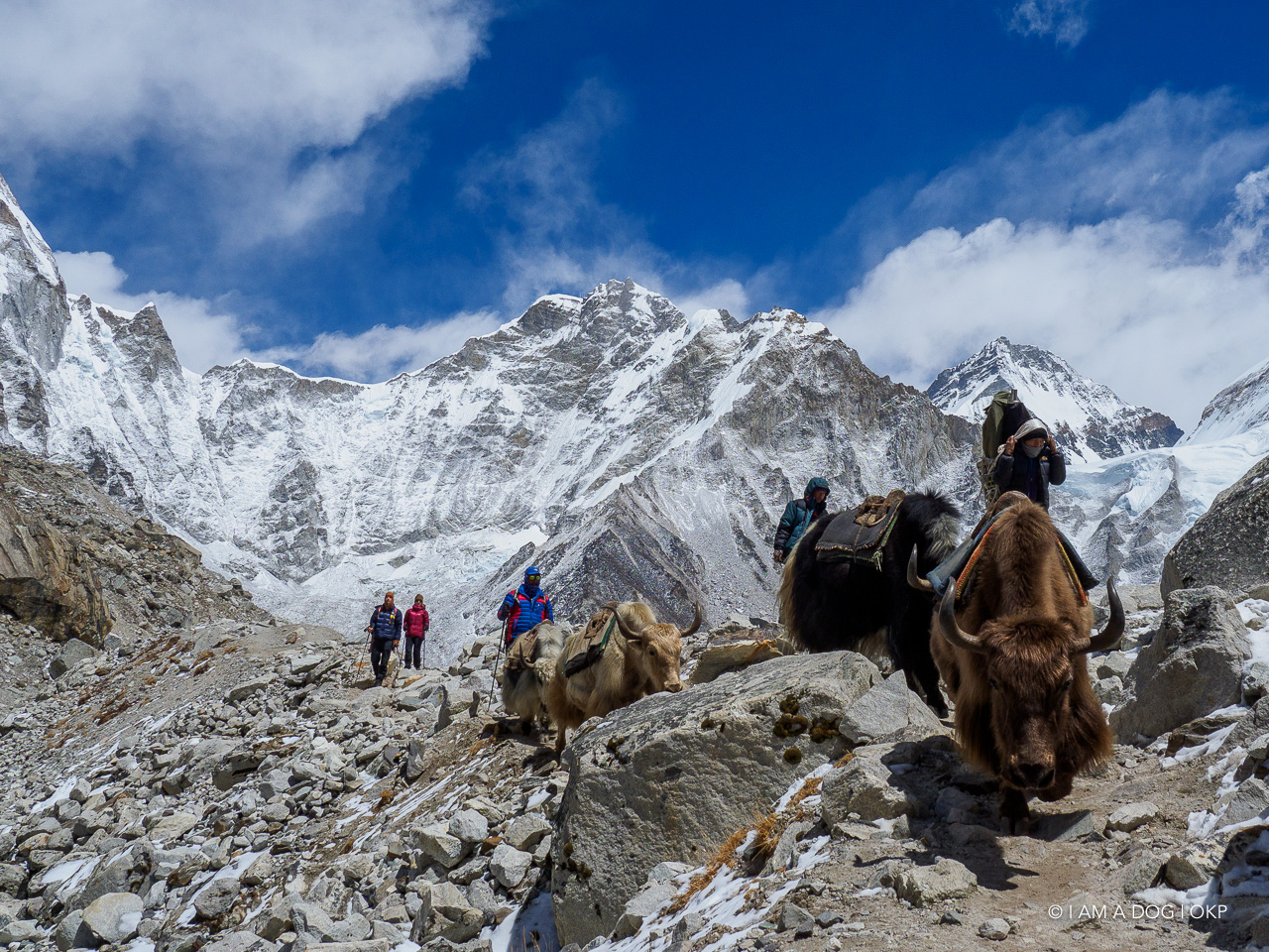 f:id:OKP:20200108180505j:plain