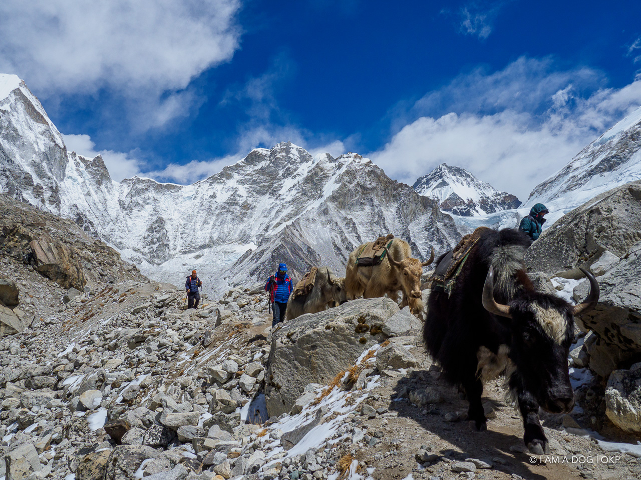 f:id:OKP:20200108180514j:plain