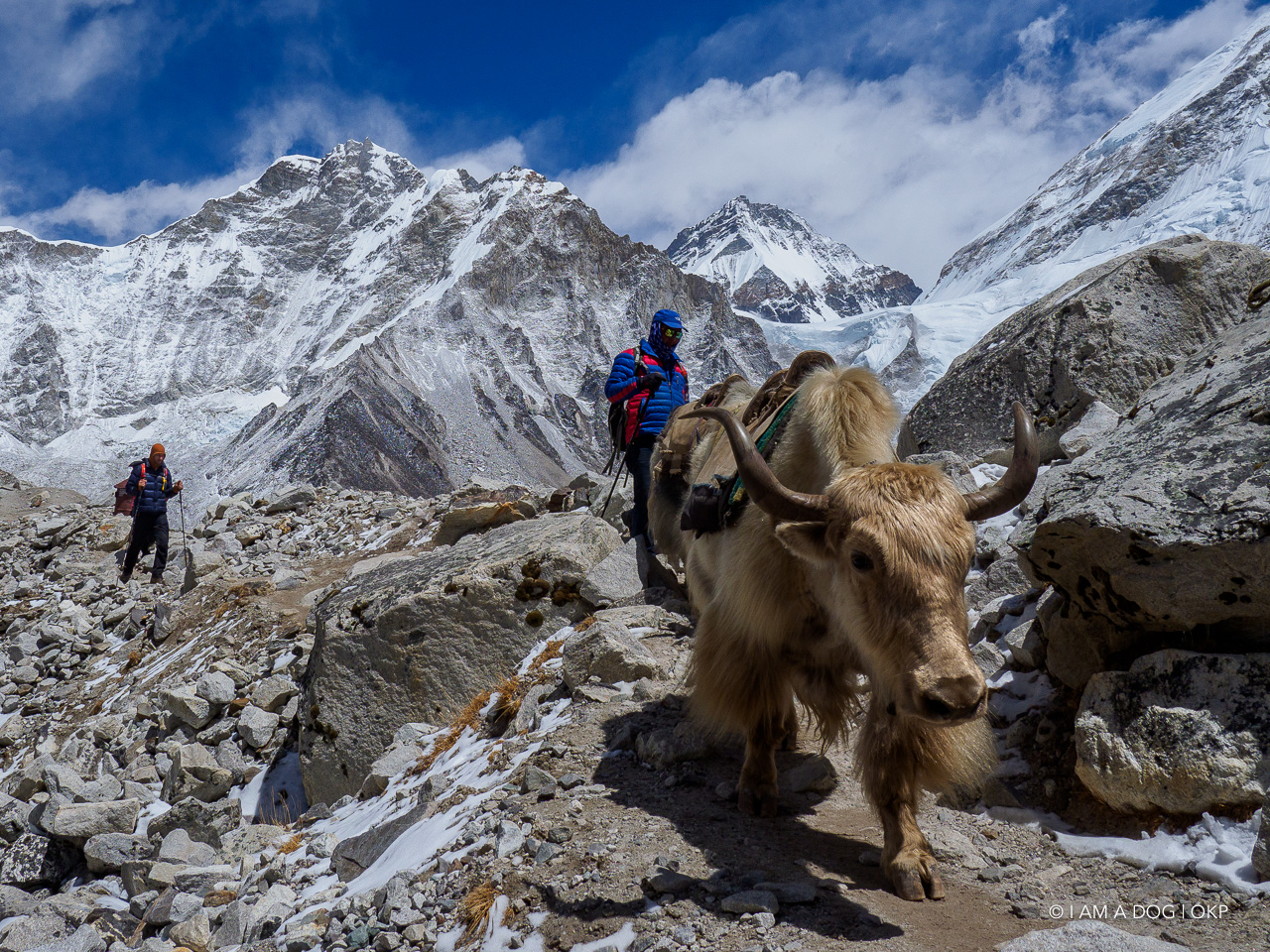 f:id:OKP:20200108180526j:plain