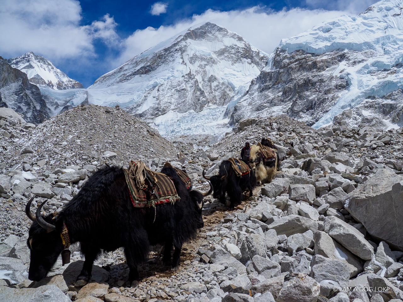 f:id:OKP:20200108180537j:plain