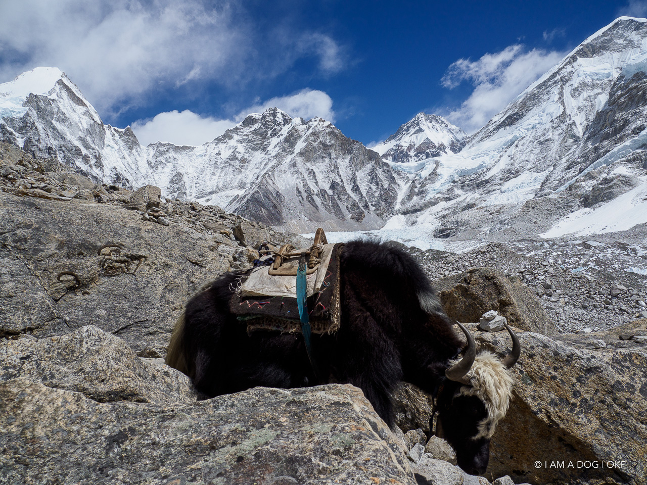 f:id:OKP:20200108185609j:plain