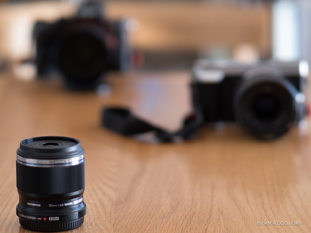 OLYMPUS M.ZUIKO DIGITAL ED 45mm F1.2 PRO、抜群の描写と