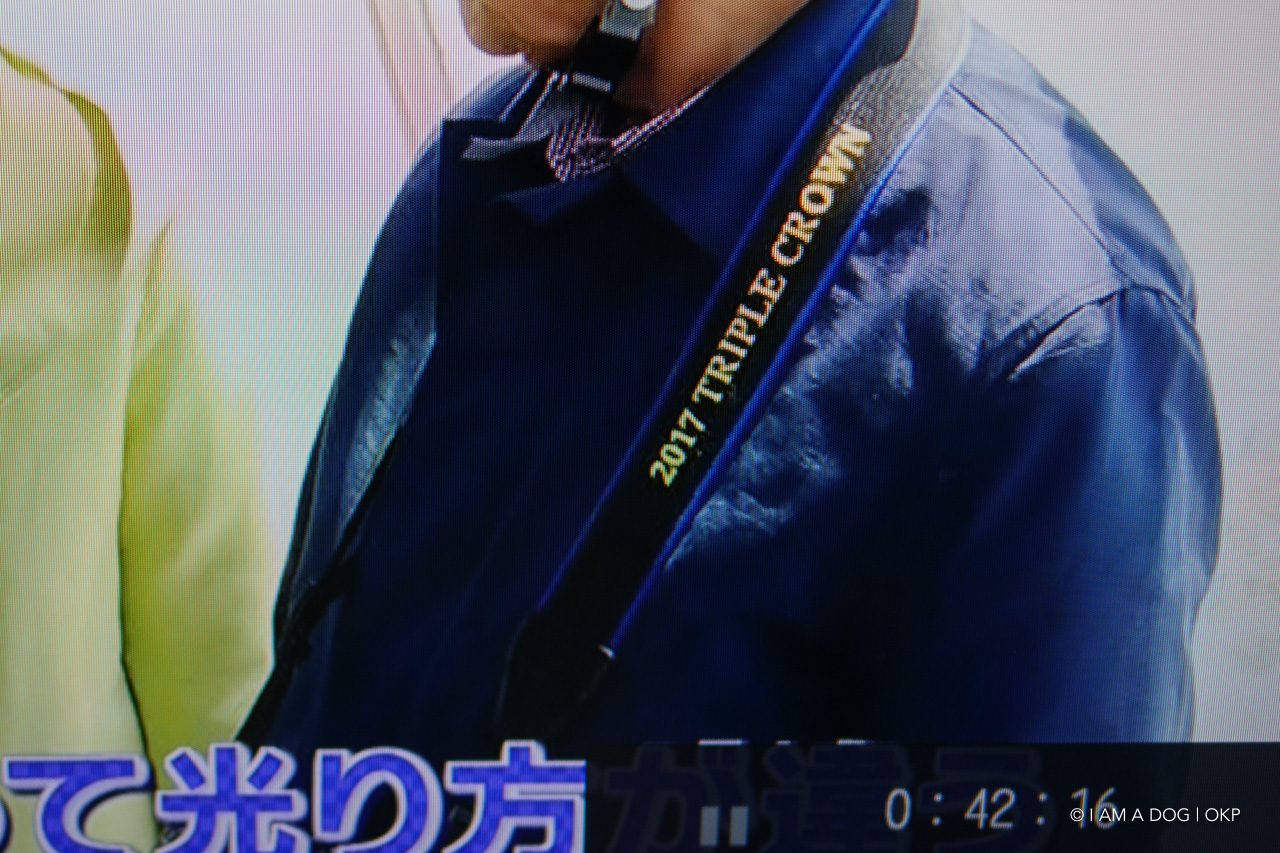 f:id:OKP:20200302100530j:plain