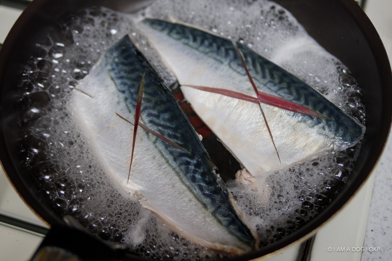 f:id:OKP:20200310205219j:plain