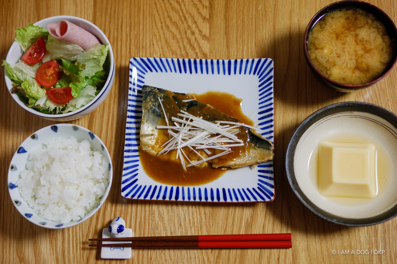 f:id:OKP:20200310211708j:plain