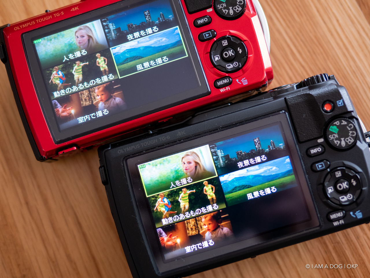 スマートフォンカメラが優秀な時代に敢えてオリンパスTough TG-6に