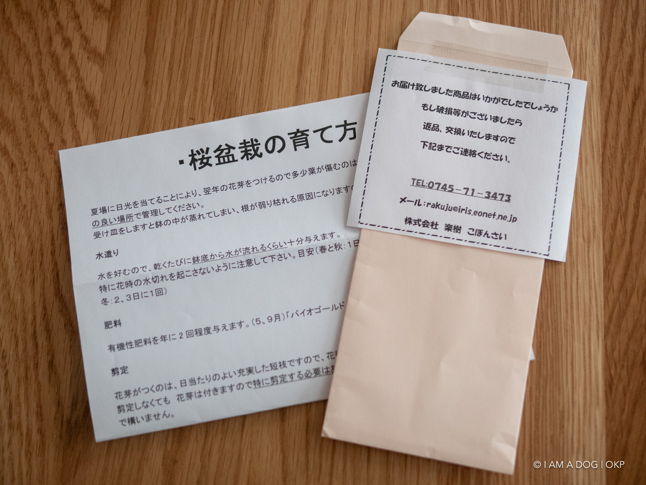 f:id:OKP:20200401114538j:plain