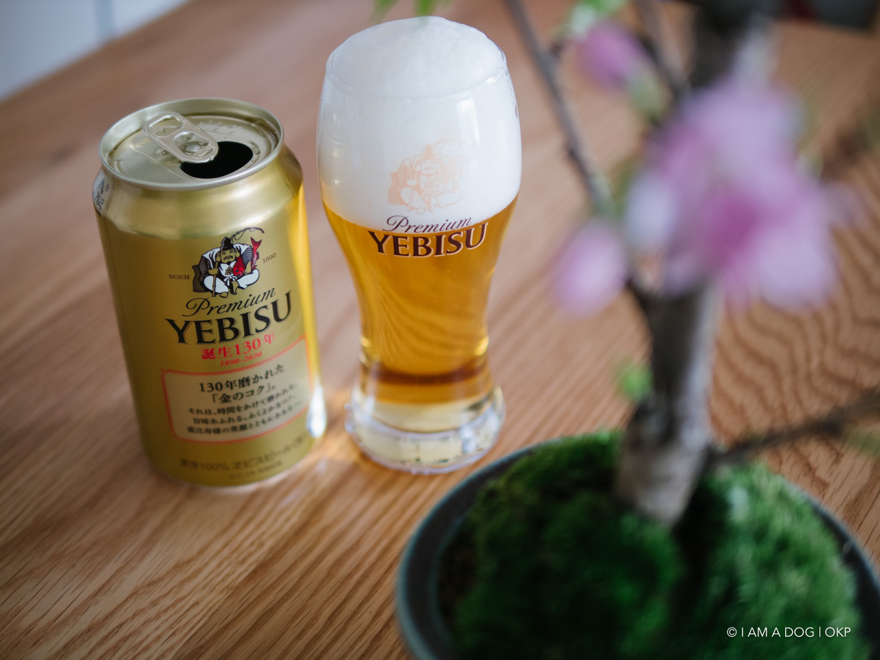 f:id:OKP:20200405125103j:plain