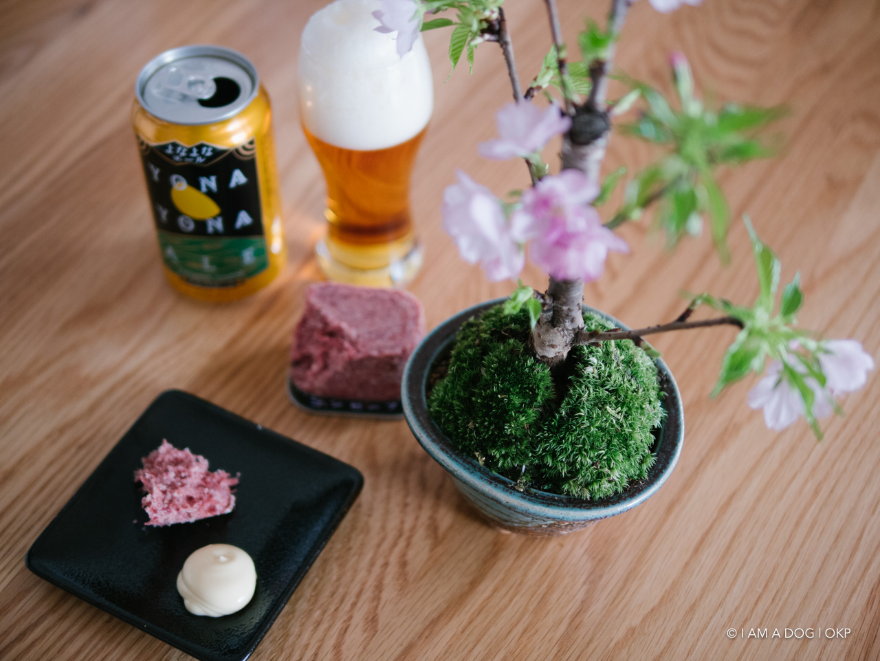 f:id:OKP:20200405125220j:plain