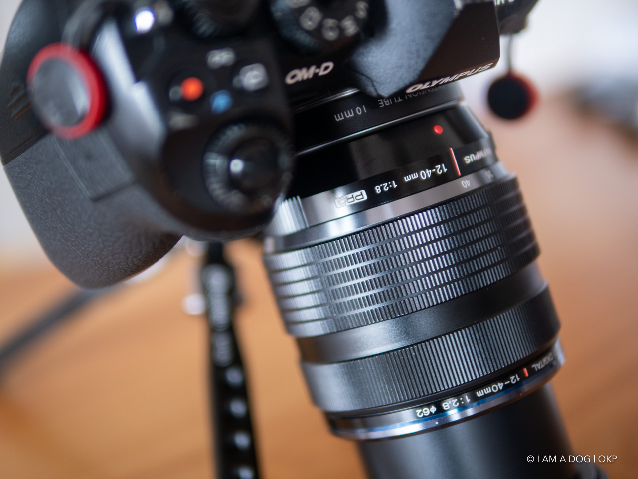 f:id:OKP:20200420101014j:plain