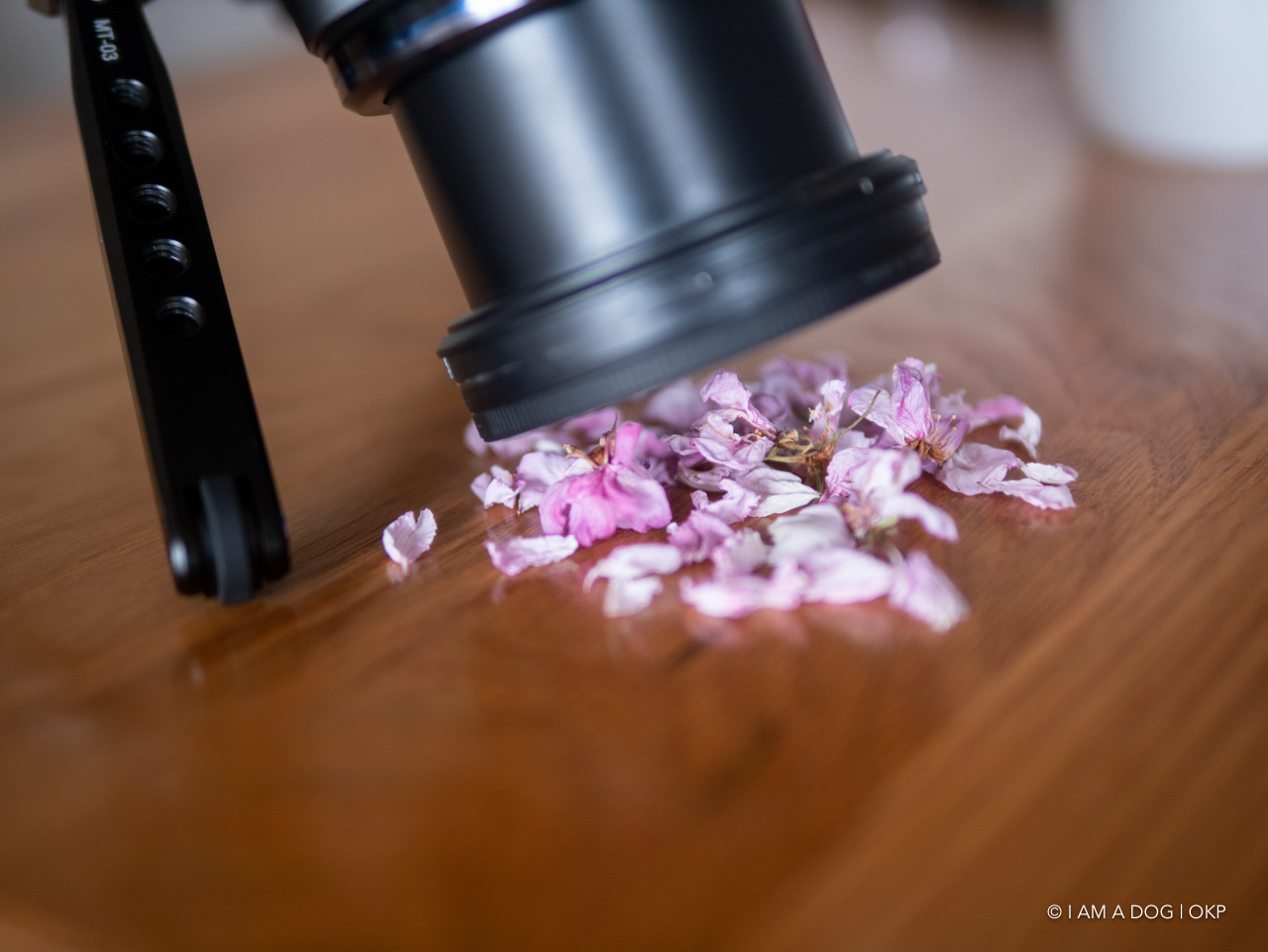 f:id:OKP:20200420101022j:plain