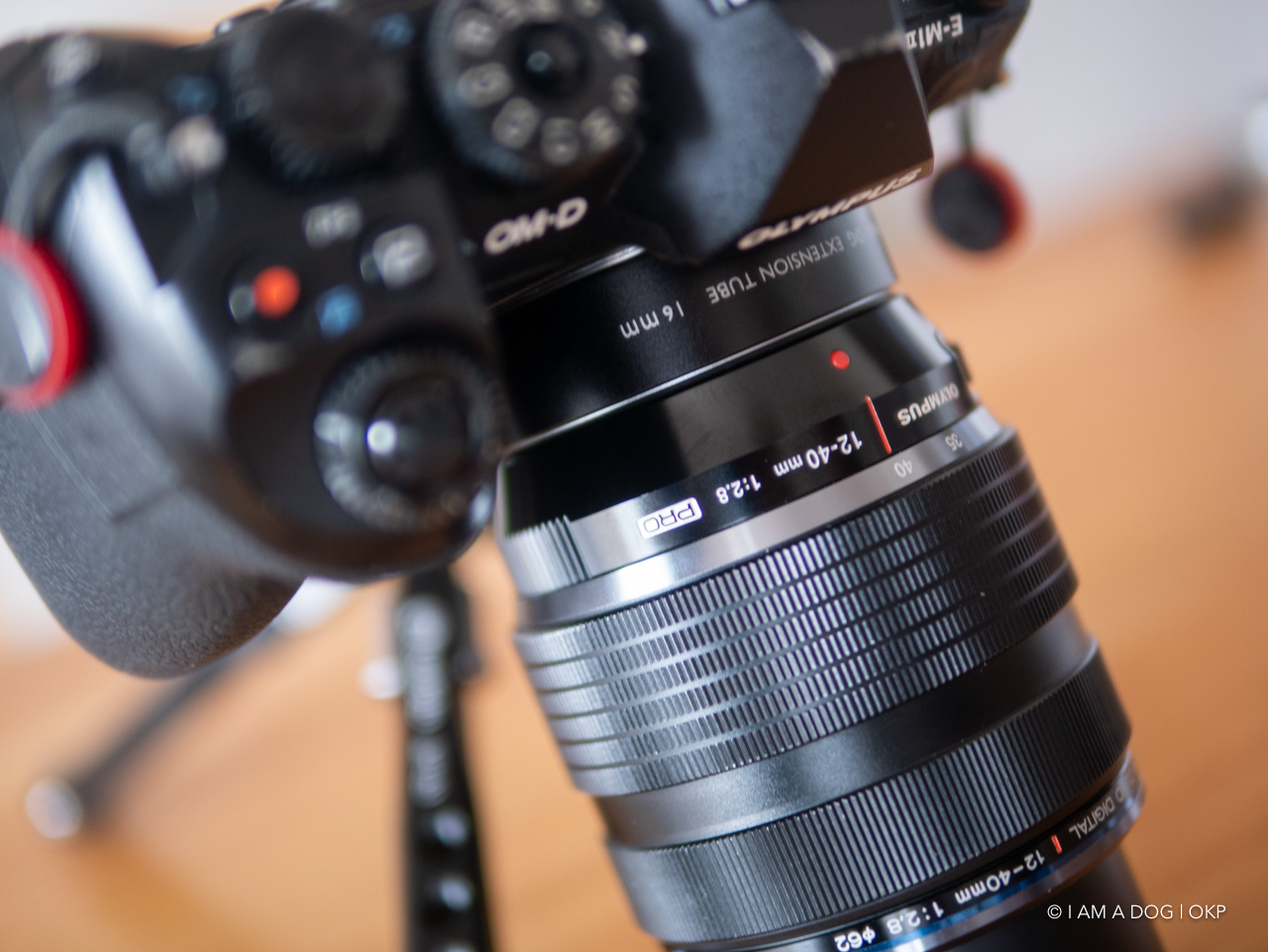 f:id:OKP:20200420101037j:plain