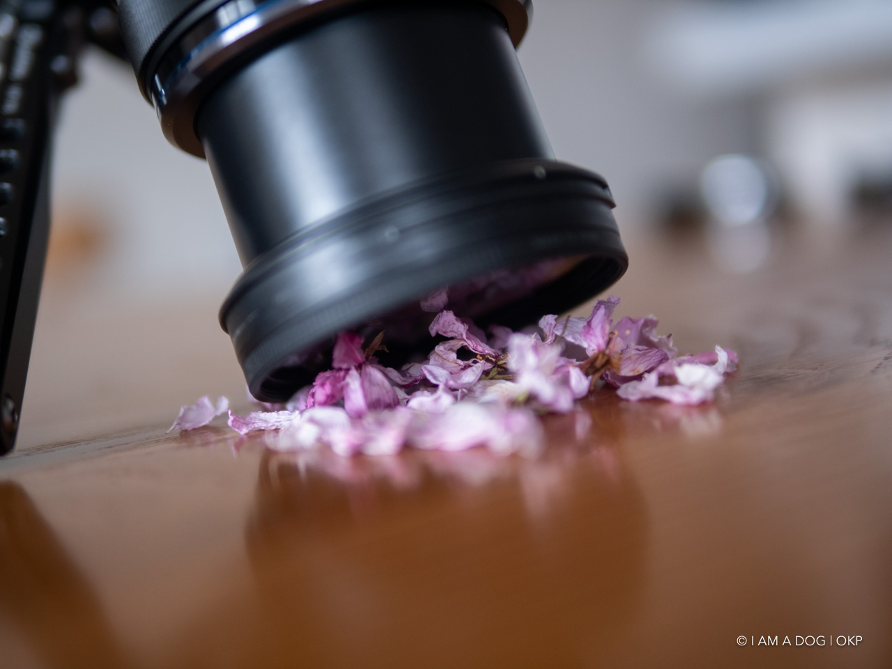 f:id:OKP:20200420101042j:plain