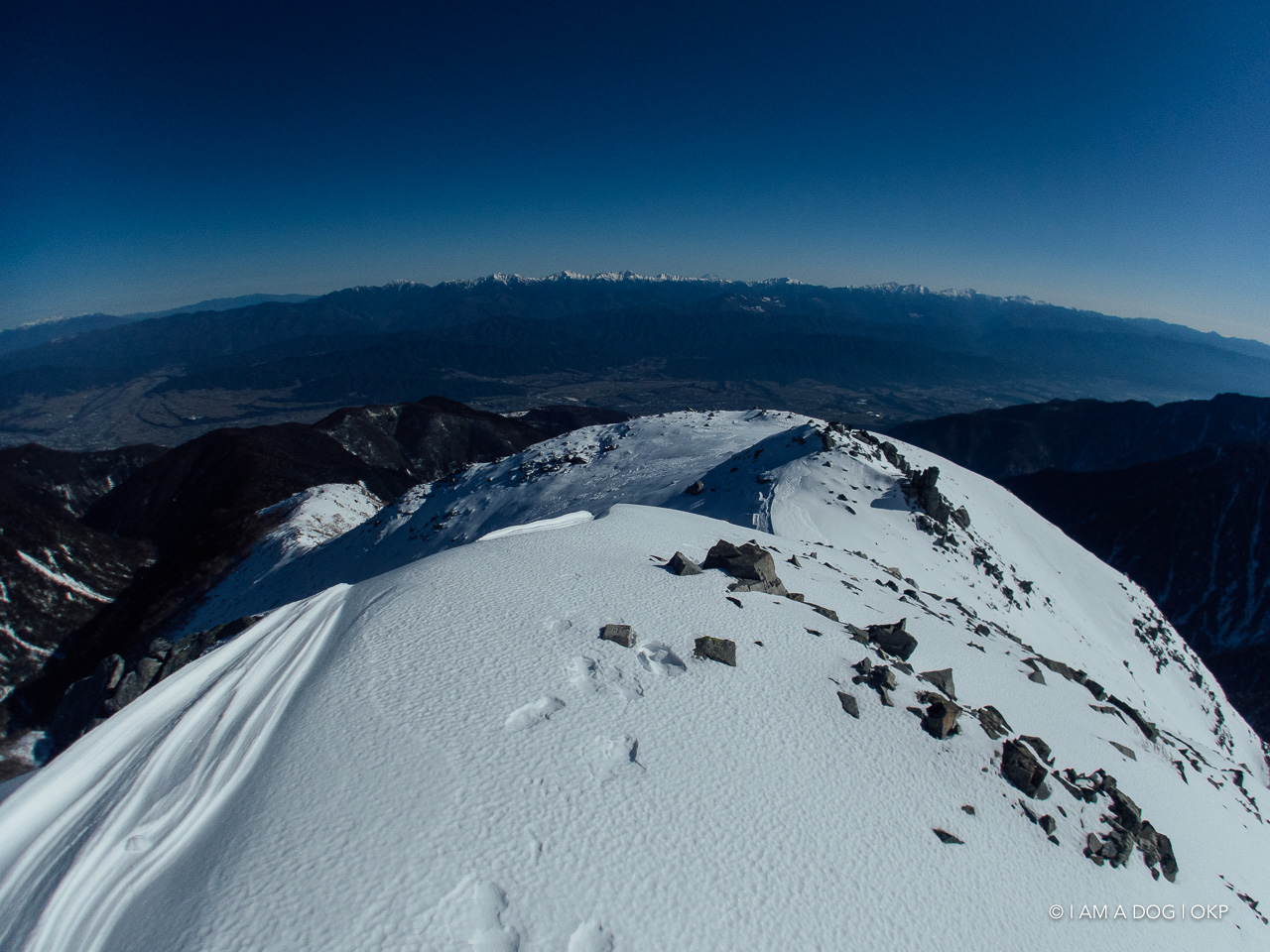 f:id:OKP:20200422221243j:plain