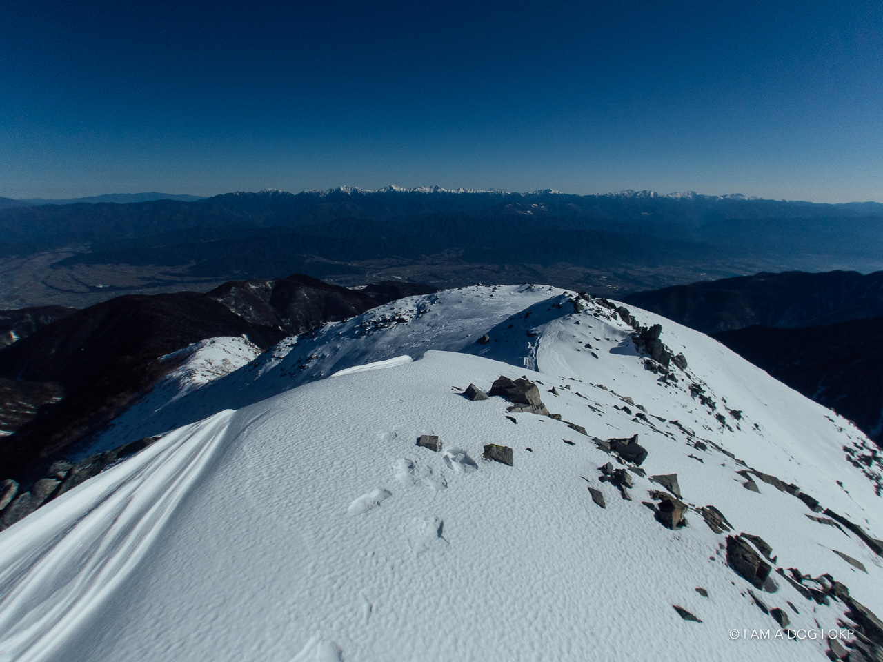 f:id:OKP:20200422221316j:plain