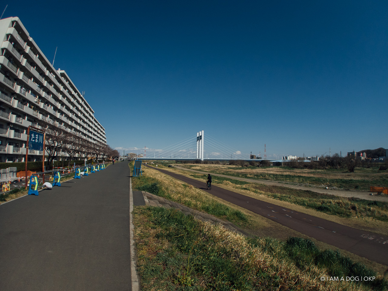 f:id:OKP:20200422221331j:plain