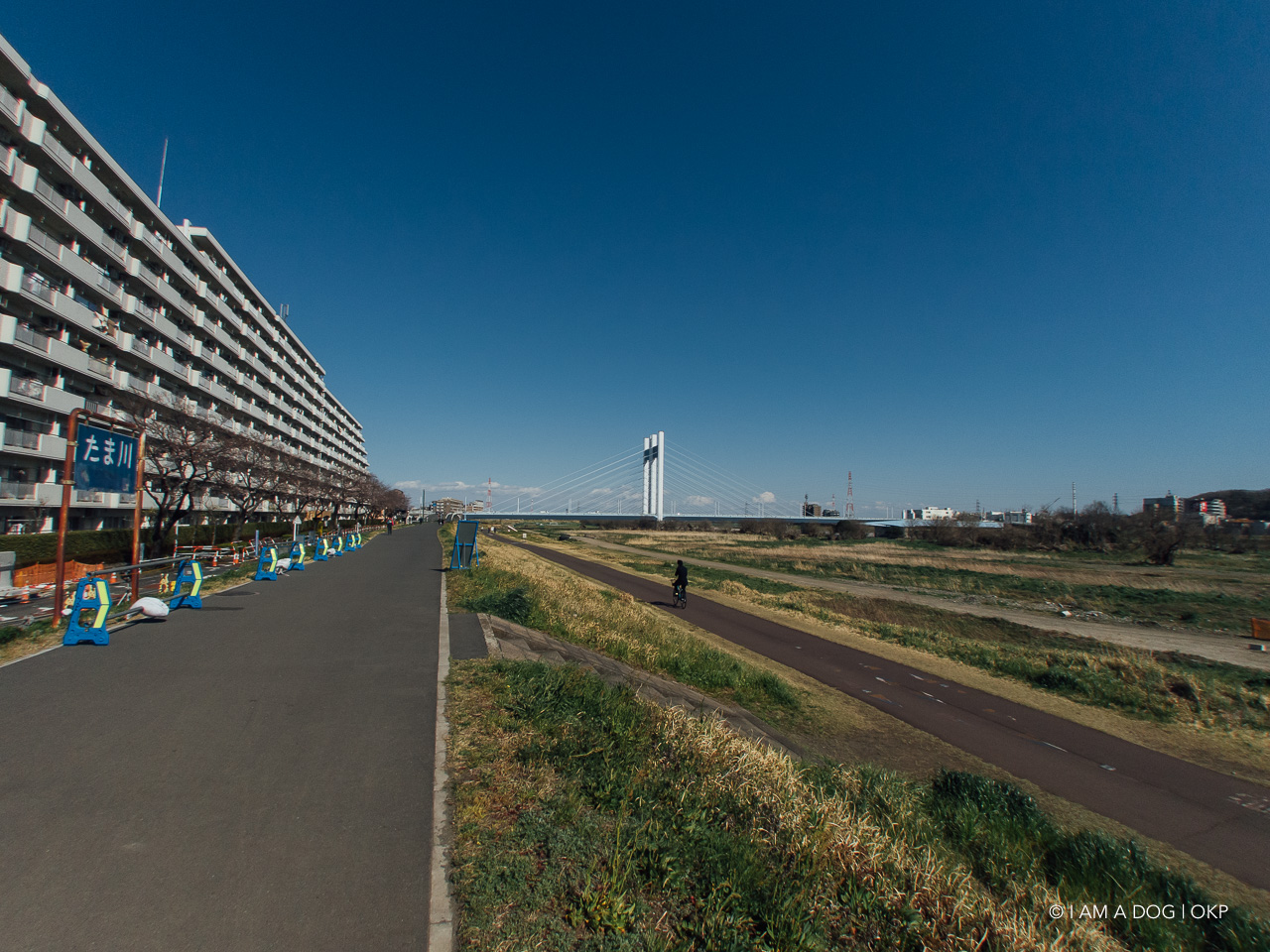 f:id:OKP:20200422221338j:plain