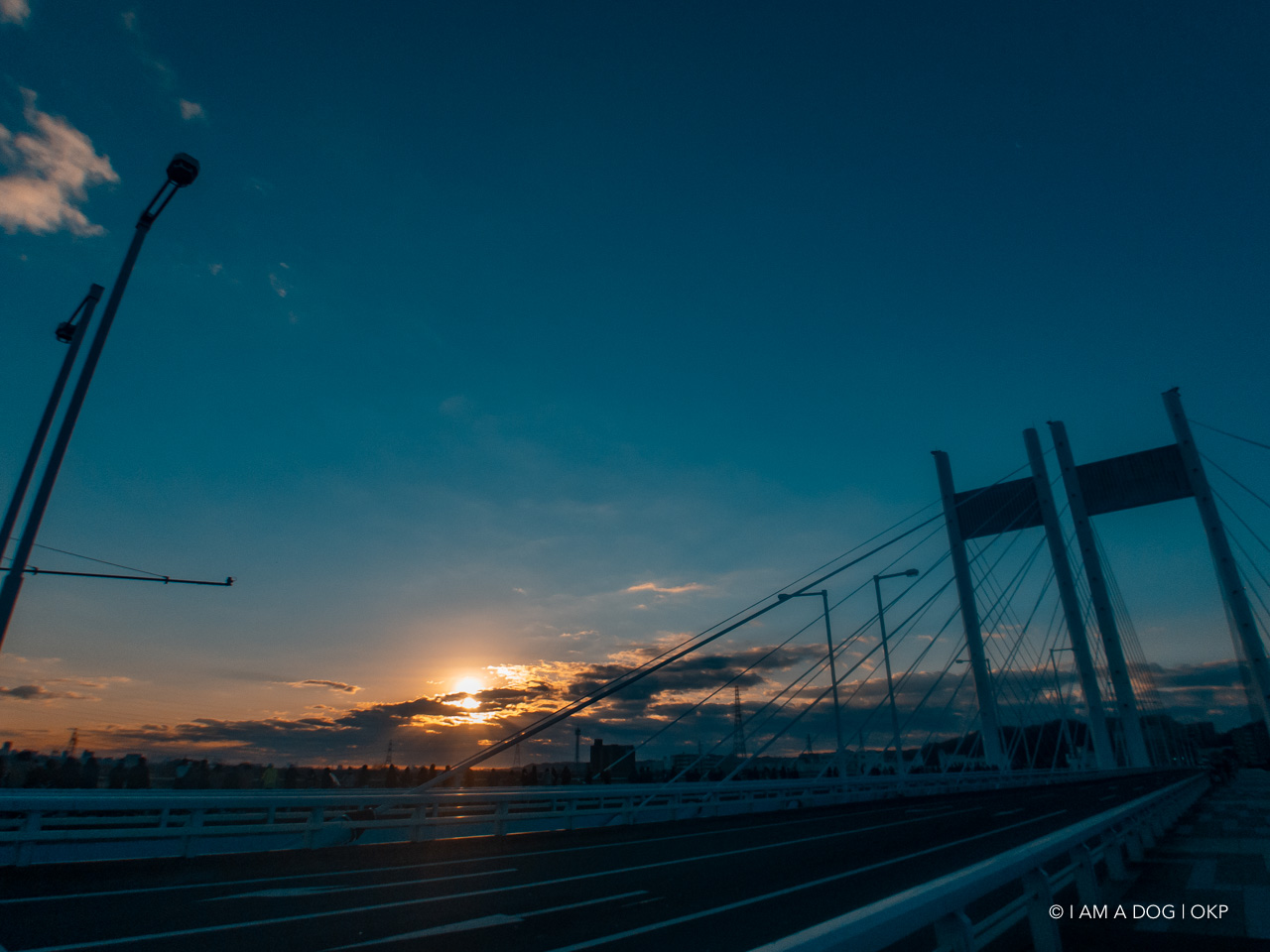 f:id:OKP:20200427171954j:plain