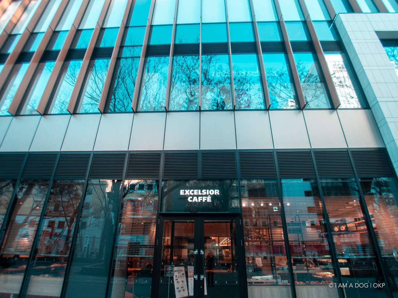 f:id:OKP:20200427172015j:plain