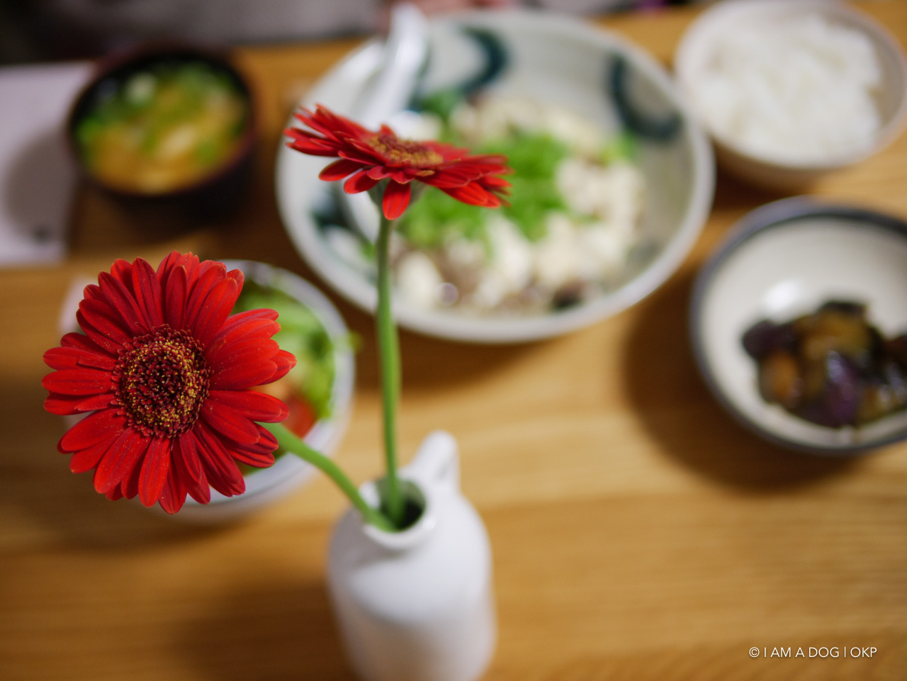 f:id:OKP:20200507234739j:plain