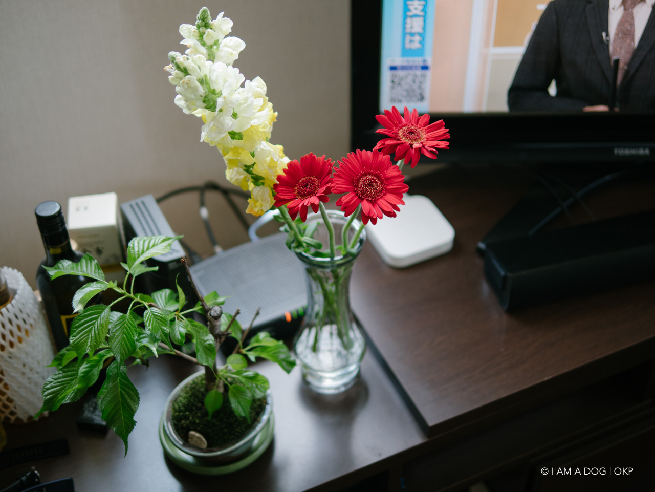 f:id:OKP:20200507234759j:plain