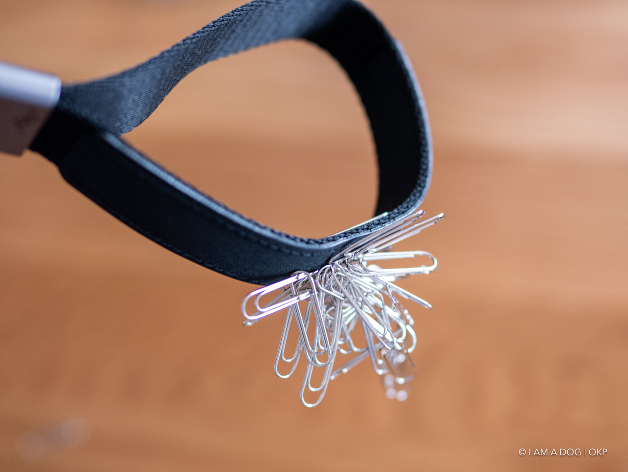 f:id:OKP:20200513113658j:plain