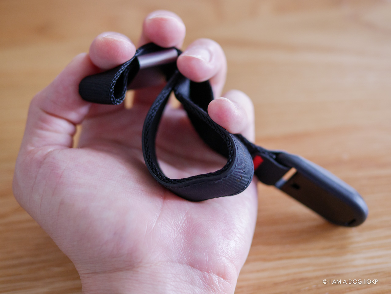 f:id:OKP:20200513133209j:plain