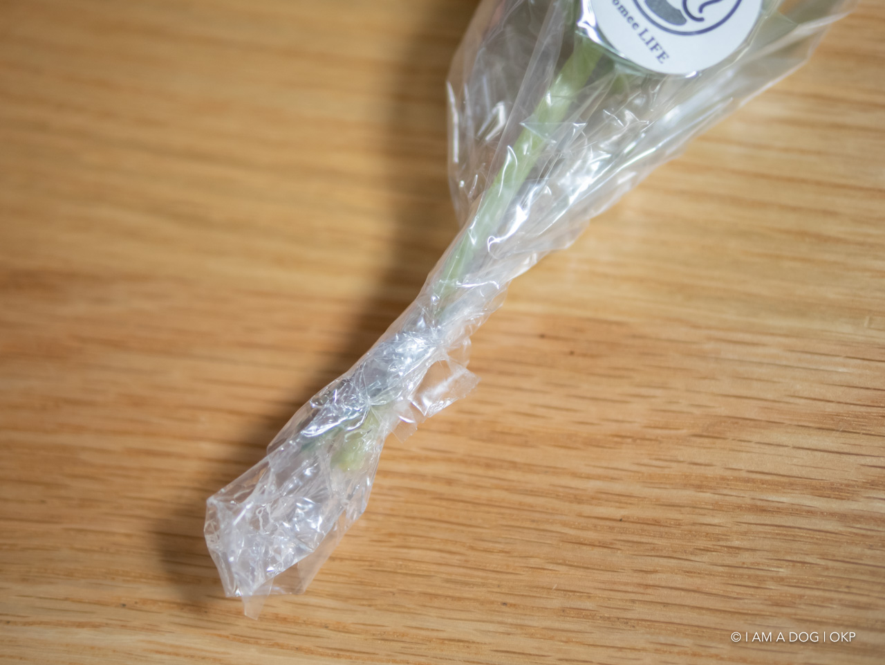 f:id:OKP:20200519003439j:plain