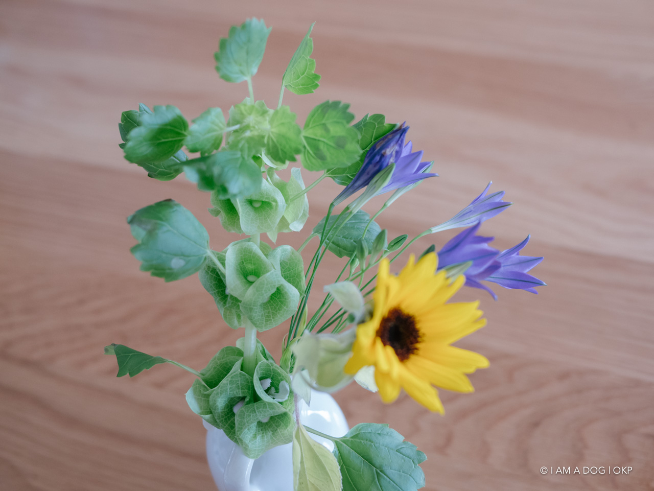 f:id:OKP:20200519003453j:plain