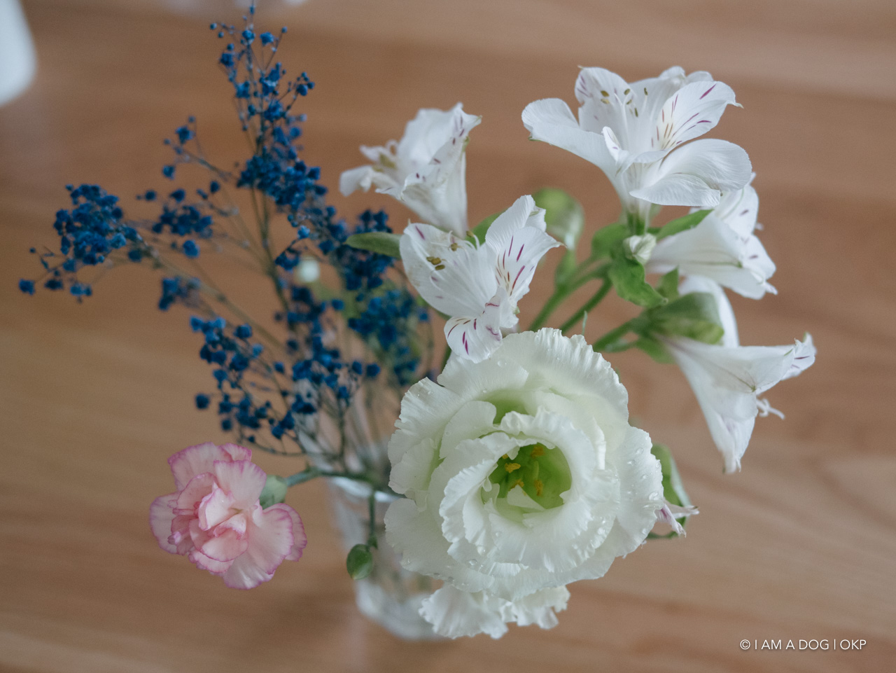 f:id:OKP:20200519003507j:plain