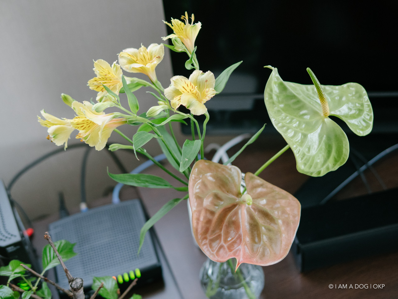 f:id:OKP:20200519003513j:plain