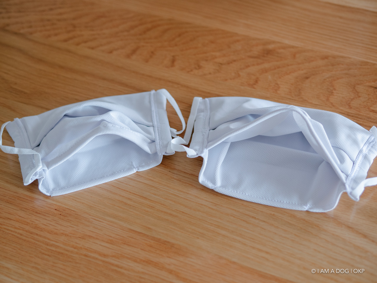 f:id:OKP:20200525122315j:plain